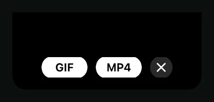 The Quick Capture island after a clip, offering GIF or MP4.