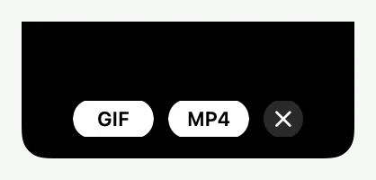 The Quick Capture island after a clip, offering GIF or MP4.