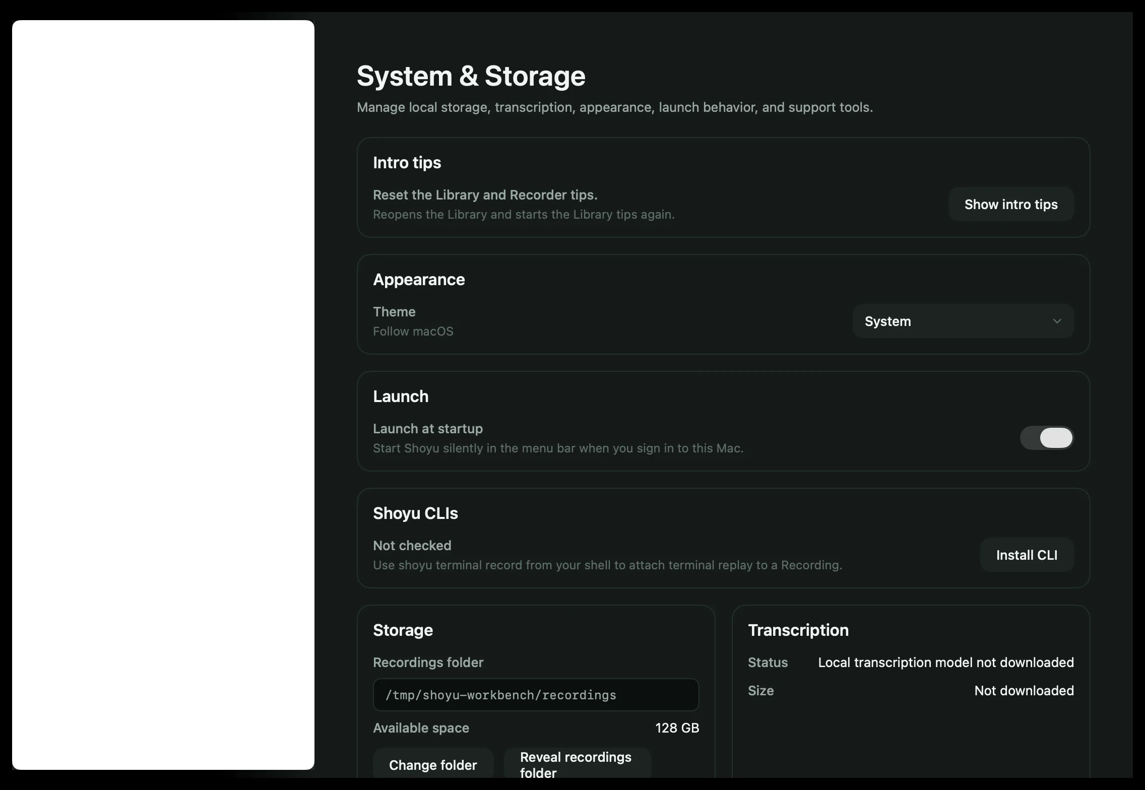Settings › System & Storage with appearance, launch, CLI, storage, transcription and diagnostics.