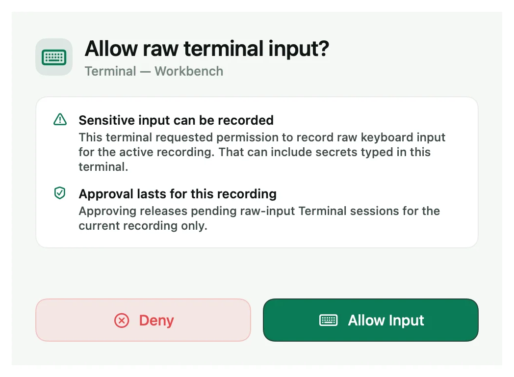 The Allow raw terminal input? panel warning that sensitive input can be recorded.